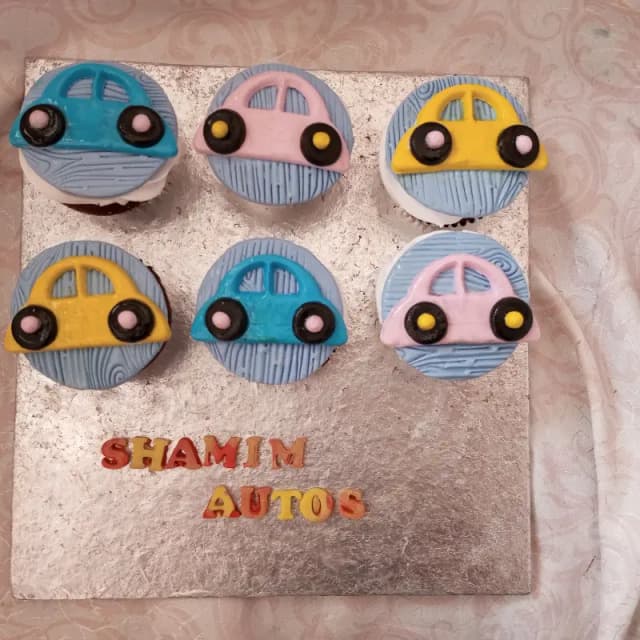 Shamim Autos